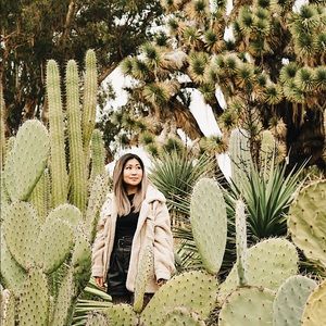 Meet your Posher, Joyce